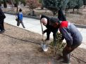 گزارش تصویری از آئیین درختکاری و تقدیر ازهمکاران فضای سبز دانشگاه